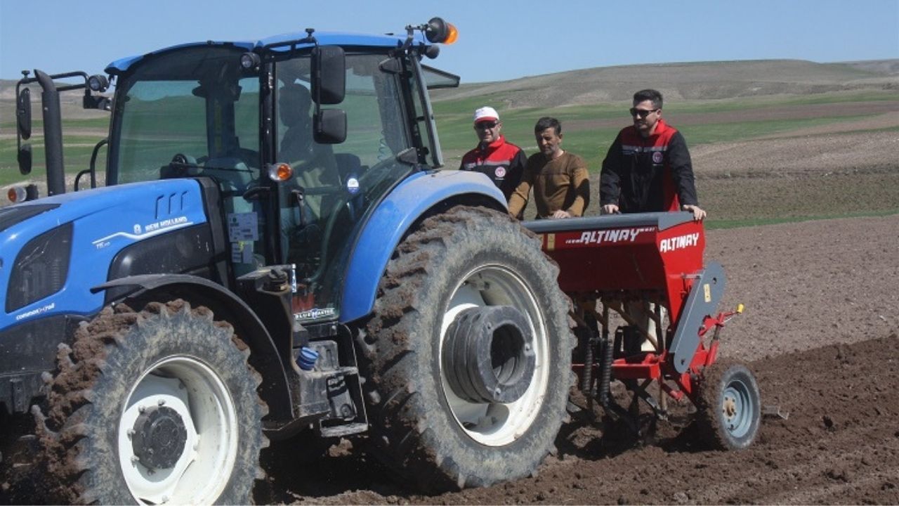 Yozgat’ta Yerli Nohut Çeşidi Tarlada Performans Testinde (1)