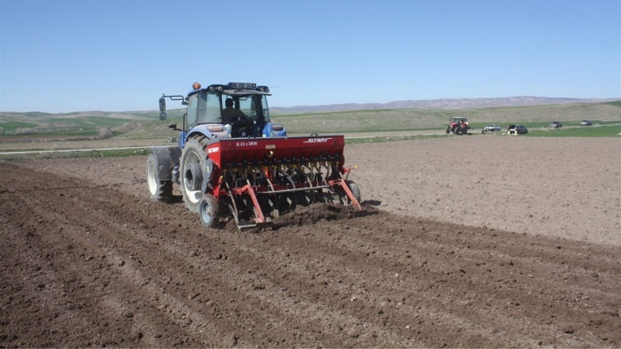 Yozgat’ta Yerli Nohut Çeşidi Tarlada Performans Testinde (2)