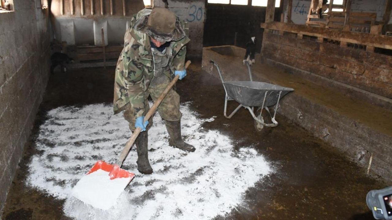 Yozgat’ta Yılların Yetiştiricisinden Şaşırtan Çözüm Kayıplar Nasıl Durdu (3)