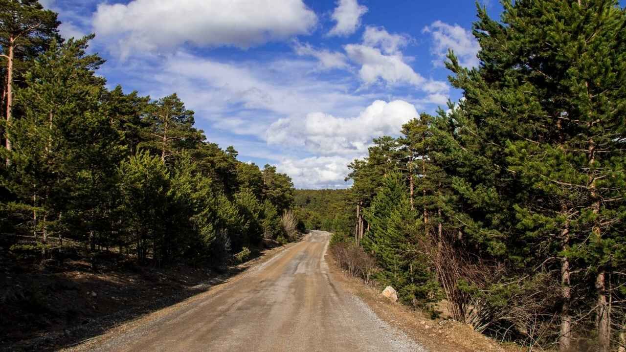 Yozgat’tan Türkiye’ye Can Suyu Yılda 1 Milyon Fidan Toprakla Buluşuyor (1)