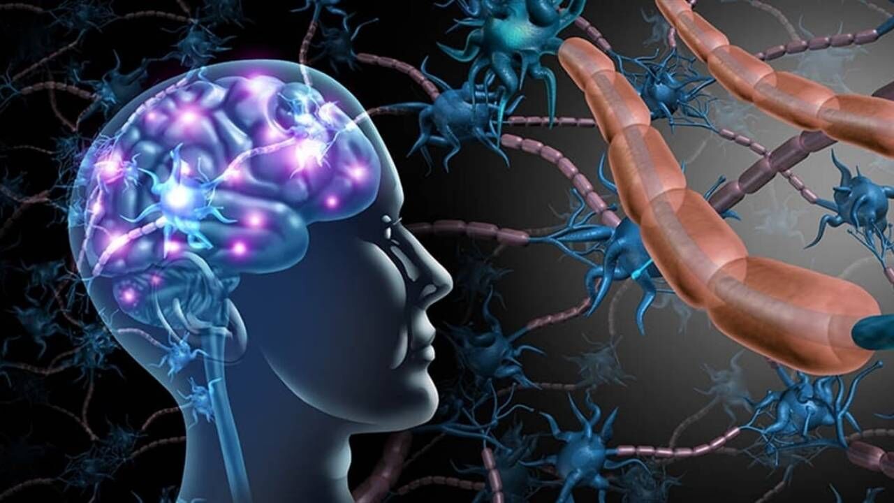 20 40 Yaş Arasındakiler Dikkat! Bu Belirtiler Ms Habercisi Olabilir (1)
