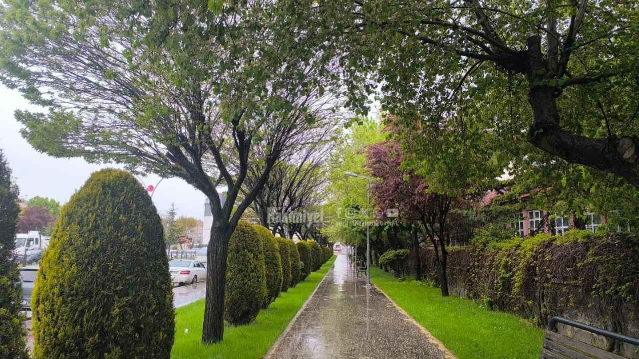 Bahar Yağmurları E 88 Üzerindeki O Sokağı Cennete Çevirdi! (2)