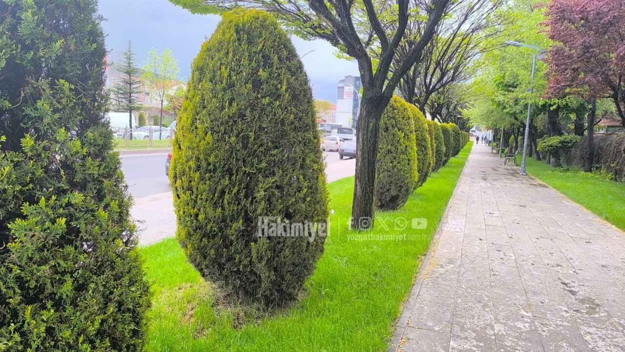 Bahar Yağmurları E 88 Üzerindeki O Sokağı Cennete Çevirdi! (6)