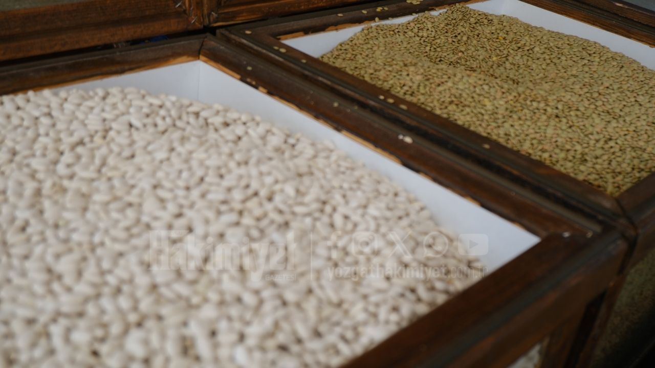 Başlık Hariçi Yazıları Sil Senden Istediğim Başlık Ve Arka Palan Kapak Görseli (3)