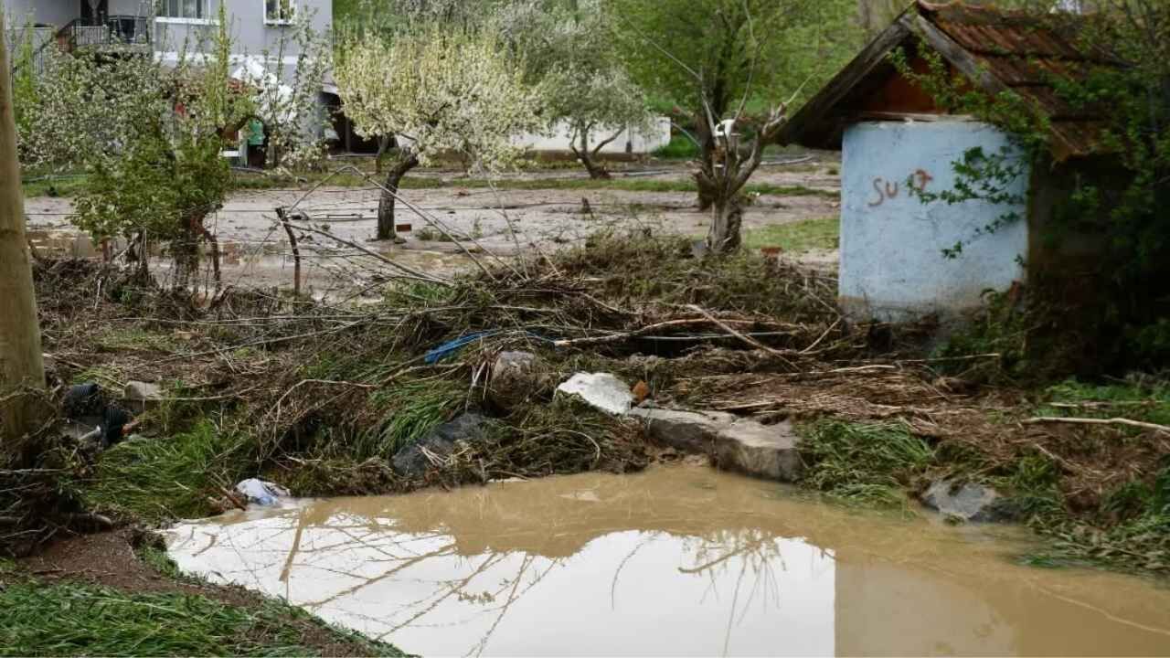 Bir Başlık Ekleyin (1)-5