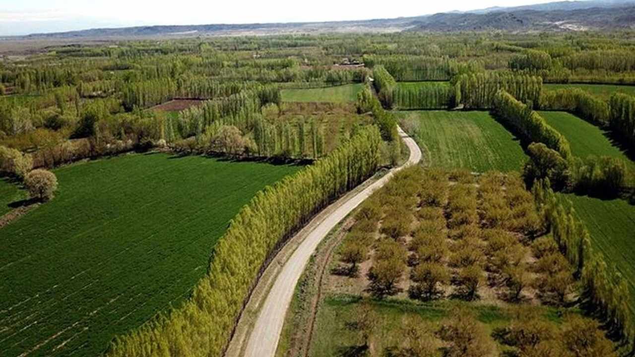 Kamu Arazileri Satışa Çıkıyor3