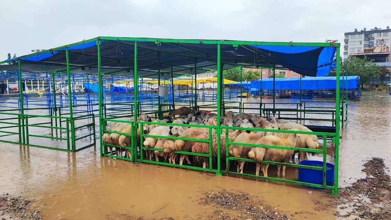 Kurban Pazarini Sel Vurdu, Besi̇ci̇ler Zor Anlar Yaşadi (2)