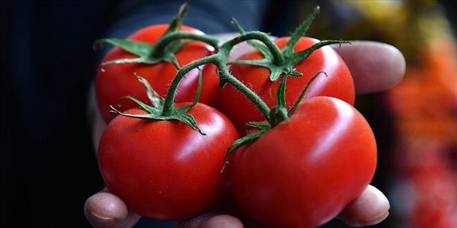 Nisan ayında 250 ürün zamlandı, 15 ürün ucuzladı