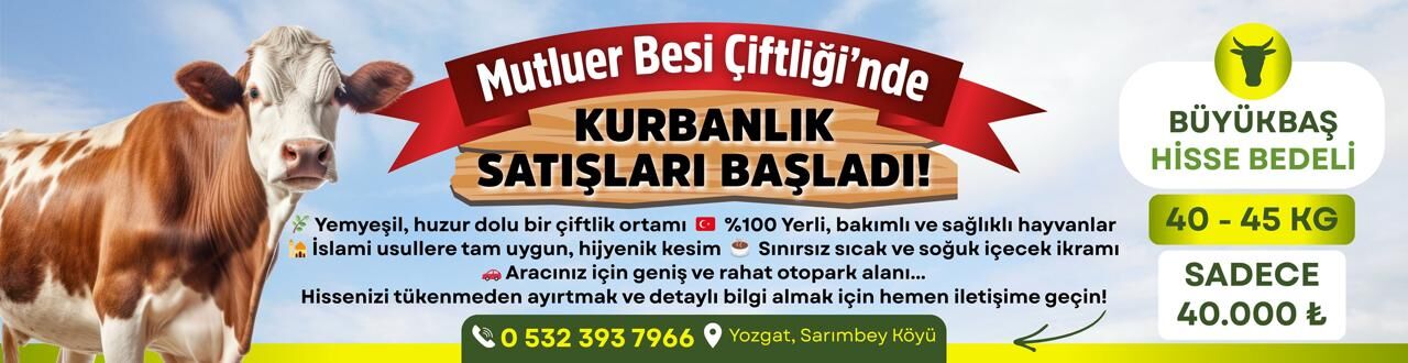 Reklam Bloğu