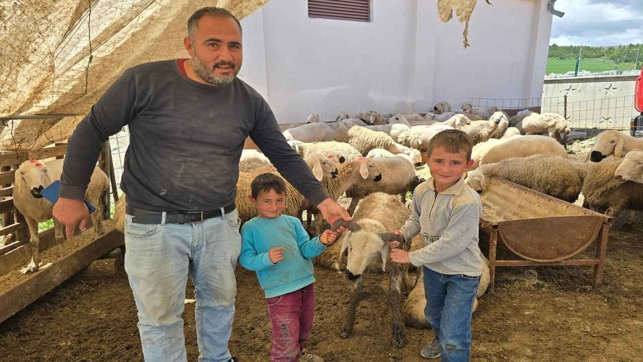 Yozgat Kurban Pazarında Arife Günü Hareketliliği! (3)