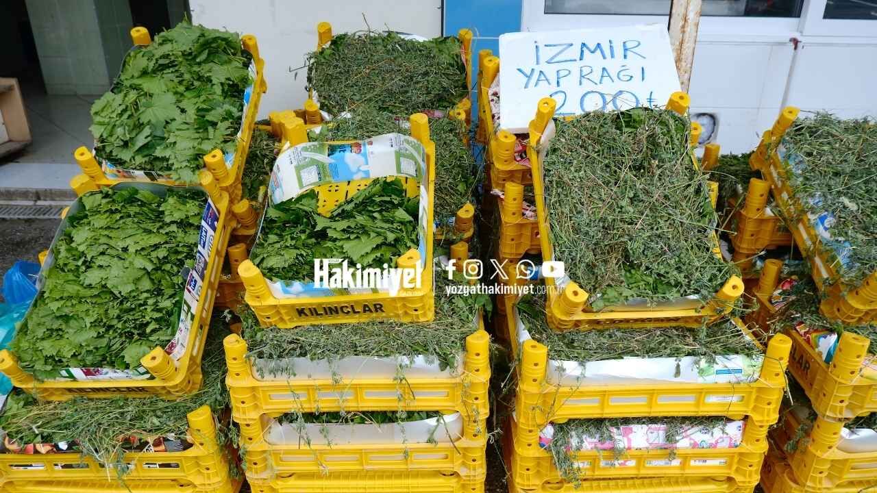 Yozgat’a Yaz Renkleri Lezzetiyle Geldi (4)