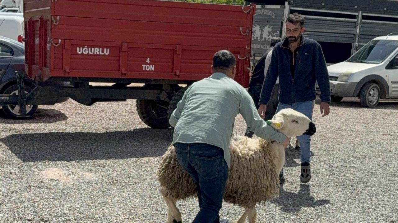 Yozgatlı Besicilere Yüzde 50 Hibe Müjdesi! (3)