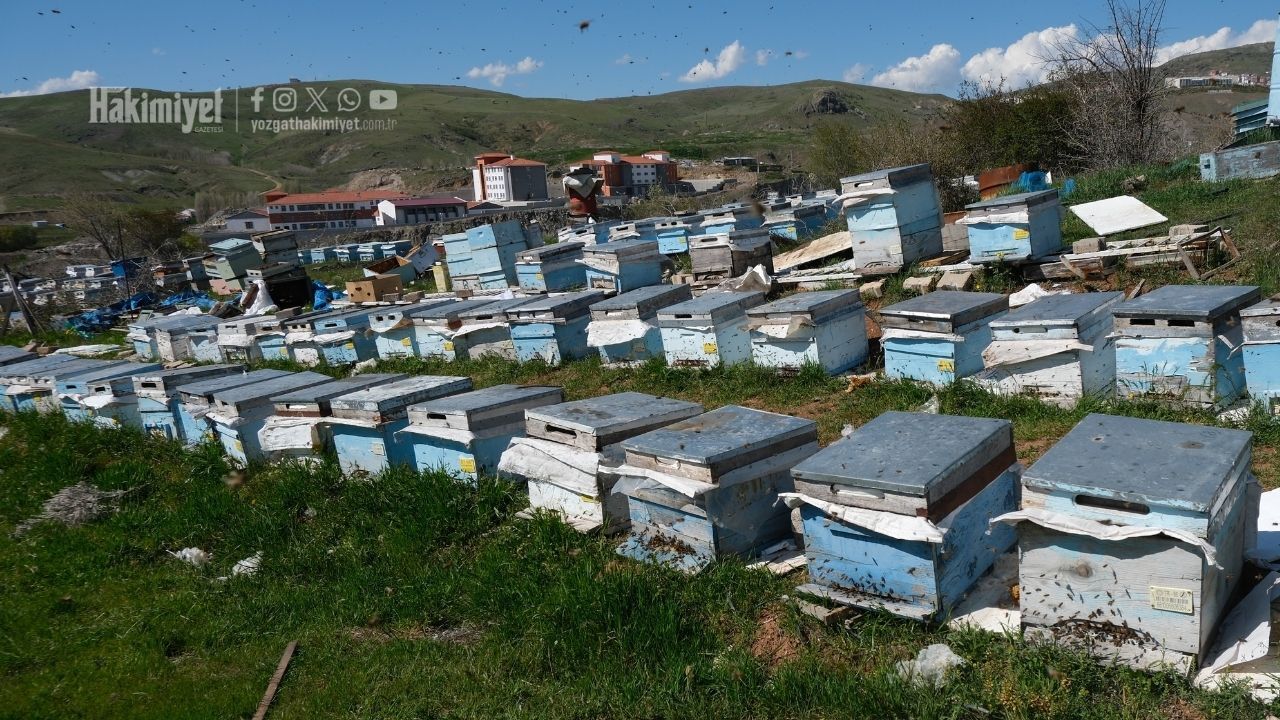 Yozgat’ta 16 Yıllık Tecrübe Konuştu Gerçek Balı Anlamanın Sırrı Ortaya Çıktı! (5)