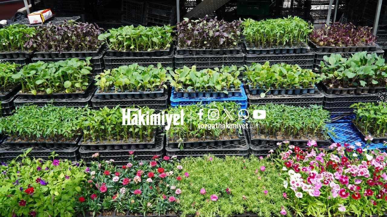 Yozgat’ta Bahçe Mesaisi Başladı! Fiyatlar Belli Oldu (6)
