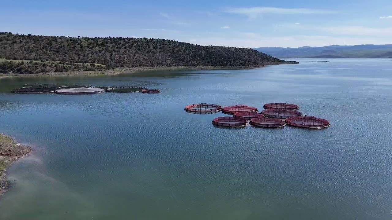 Yozgat'ta Bozkırdan Dünyaya Uzanan Somon Yolculuğu Başladı (2)