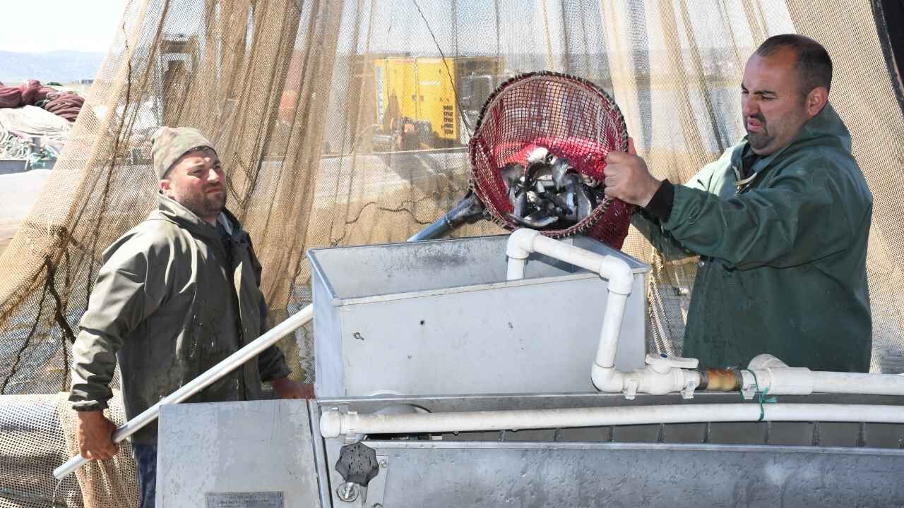 Yozgat'ta Bozkırdan Dünyaya Uzanan Somon Yolculuğu Başladı (3)