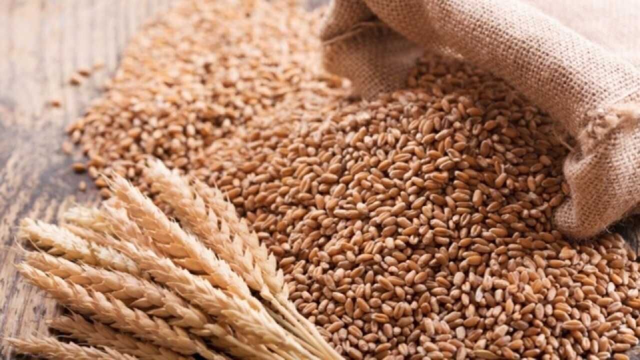 Yozgat'ta Buğday Fi̇yatlarinda Düşüş Sürüyor3