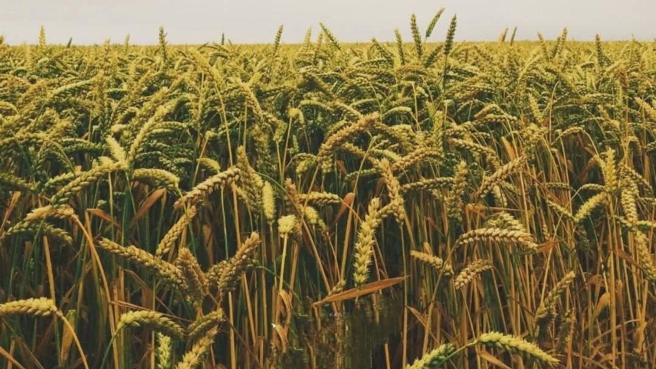 Yozgat'ta Bugün Onların Günü! Valilikten Anlamlı Mesaj