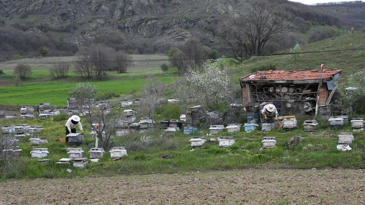 Yozgat’ta Dede Mirası Mesai (5)
