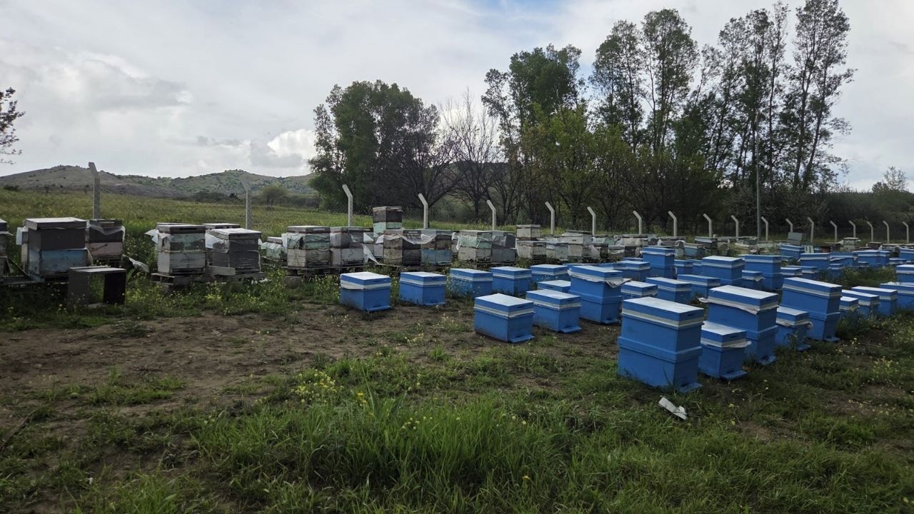 Yozgat'ta Ezber Bozan Başarı (5)