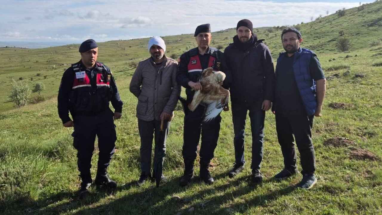 Yozgat'ta Jandarmadan Yaralı Şahine Şefkat Eli (1)