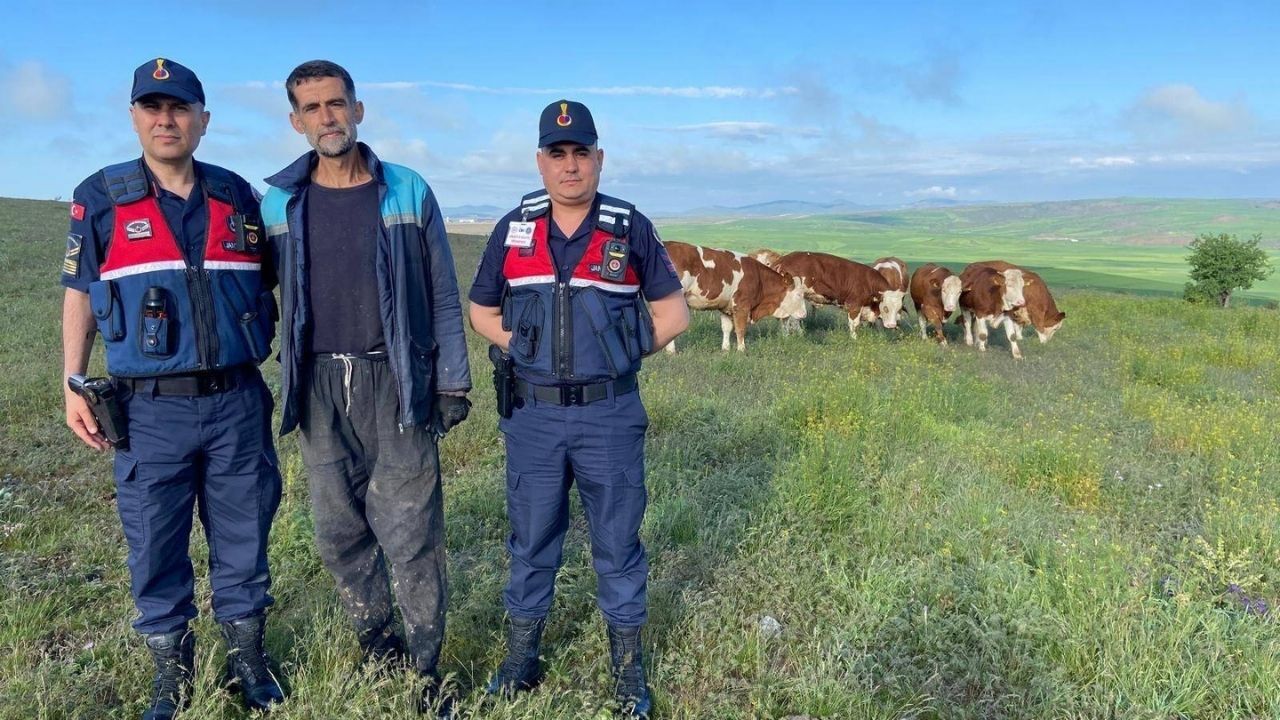 Yozgat'ta Kayıp Hayvanlar İçin Özel Arama!