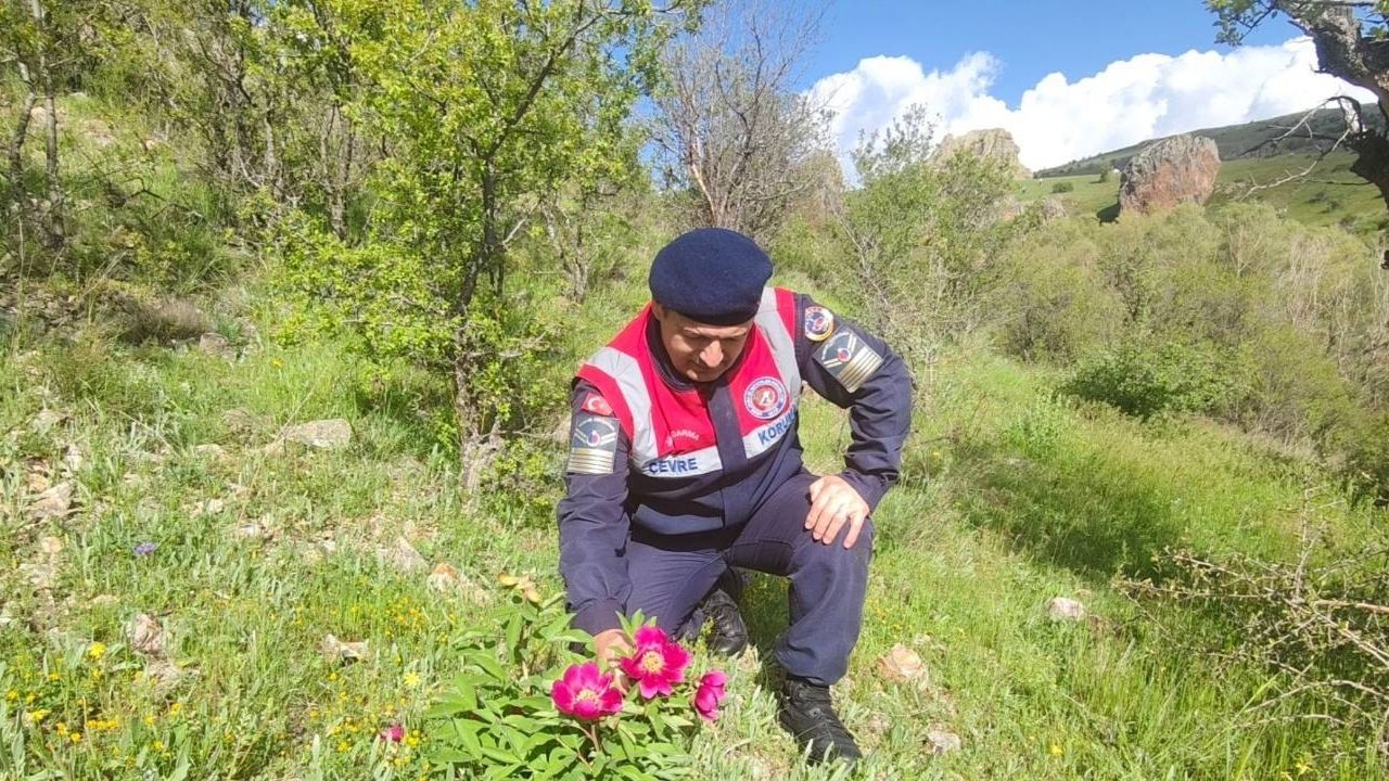 Yozgat’ta Koruma Altındaki O Alanlar İçin Rekor Ceza Kapıda (1)