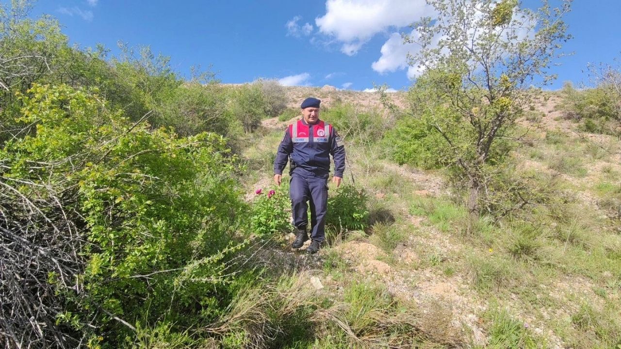 Yozgat’ta Koruma Altındaki O Alanlar İçin Rekor Ceza Kapıda (4)