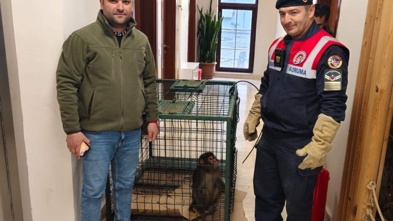 Yozgat’ta Köy Yolunda Gizemli Misafir! (2)