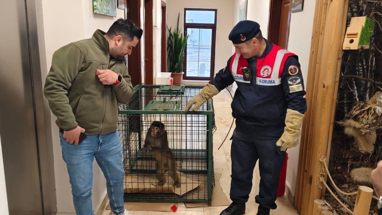 Yozgat'ta Köy Yolunda Şaşırtan Manzara! (2)