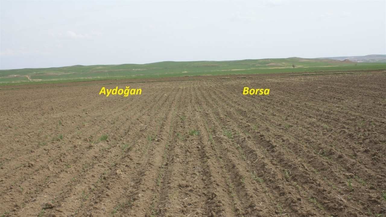 Yozgat’ta Modern Tarım Hamlesi Sonuç Verdi (2)
