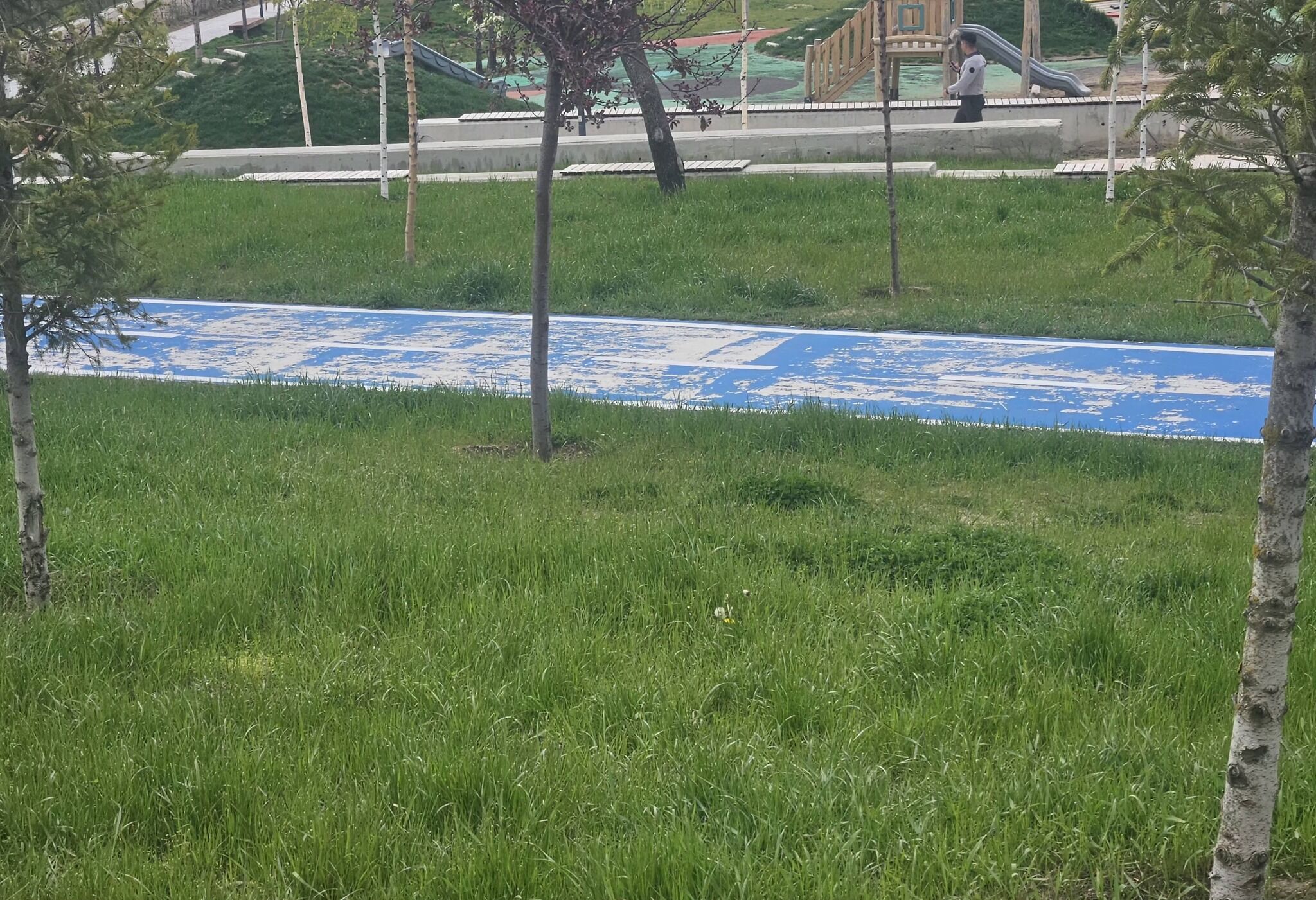 Yozgat'ta Şok İddia Millet Bahçesi Çürüyor Mu2