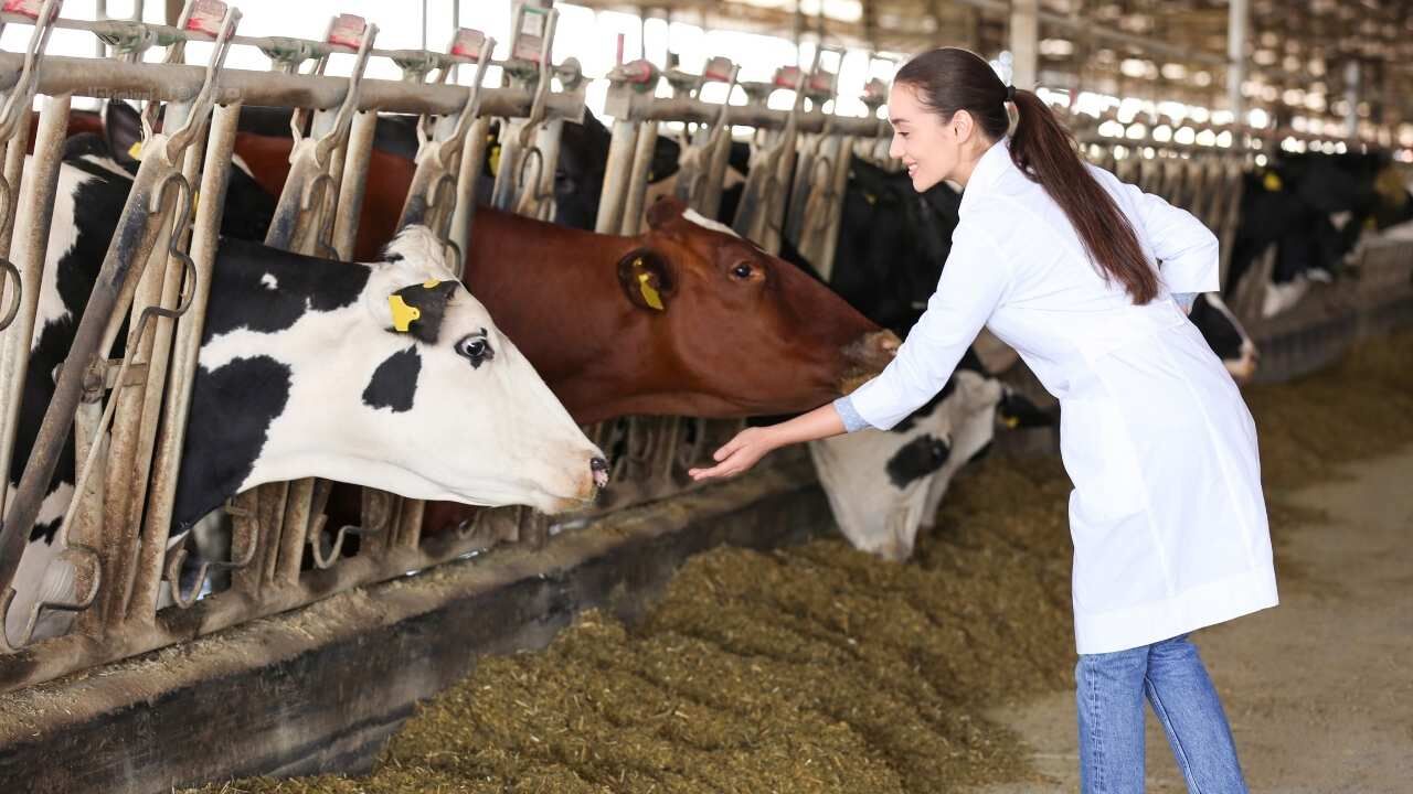 Yozgat'ta Sözleşmeli Veteriner Sistemi Başarıyla Uygulandı! (2)