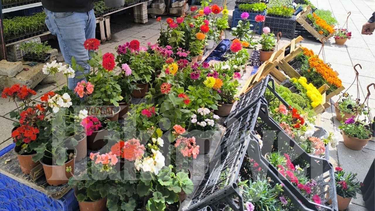 Yozgat'ta Talep Artıyor Şehir Renkleniyor! (2)