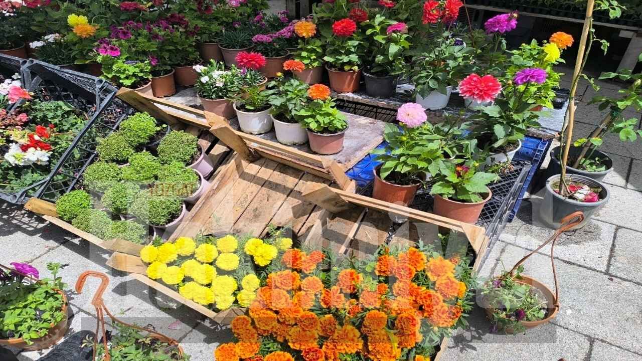 Yozgat'ta Talep Artıyor Şehir Renkleniyor! (3)