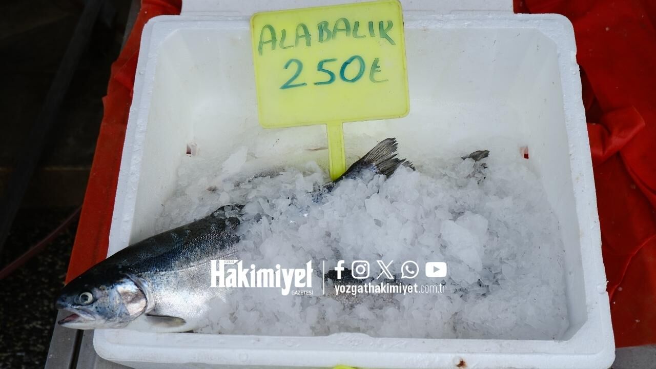 Yozgat’taki Balıkçıda Yeni Tablo Türleri Ve Fiyatları Açıklandı (3)