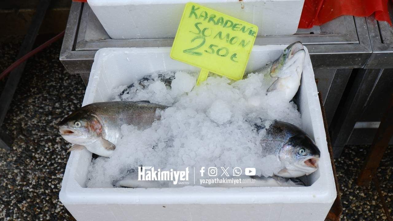 Yozgat’taki Balıkçıda Yeni Tablo Türleri Ve Fiyatları Açıklandı (5)