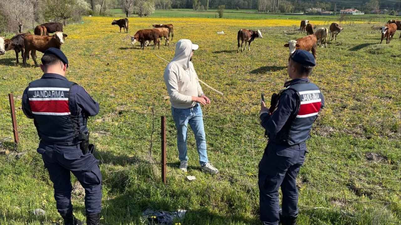 Yozgat'tan Kurban Bayramı Öncesi Dolandırıcılık Uyarısı Yöntem Belli! (2)