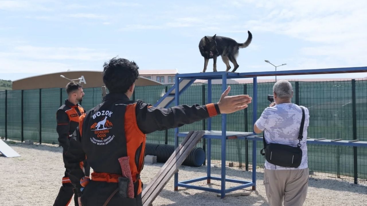 Arama Kurtarma Köpeklerinin Başarı Sırrı Yozgat'ta Anlatıldı (3)