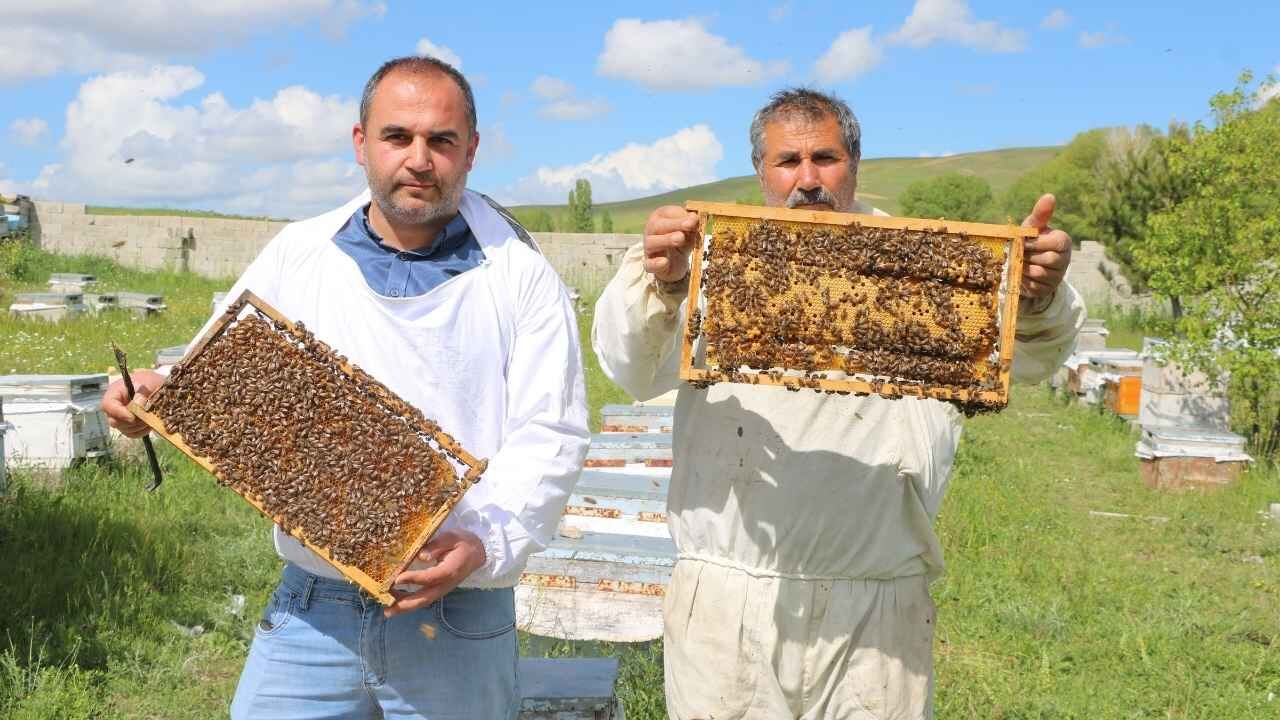 Bozok Yaylası Bu Yıl Da Gözde Oldu! Gezginci Arıcılar Yozgat'a Yerleşti (10)