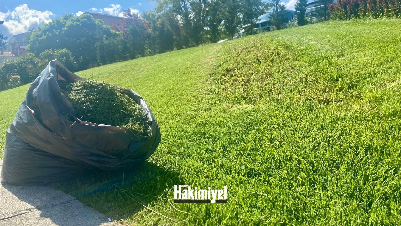 Haberimiz Yozgat Belediyesini Harekete Geçirdi Parklarda İlaçlama Başladı