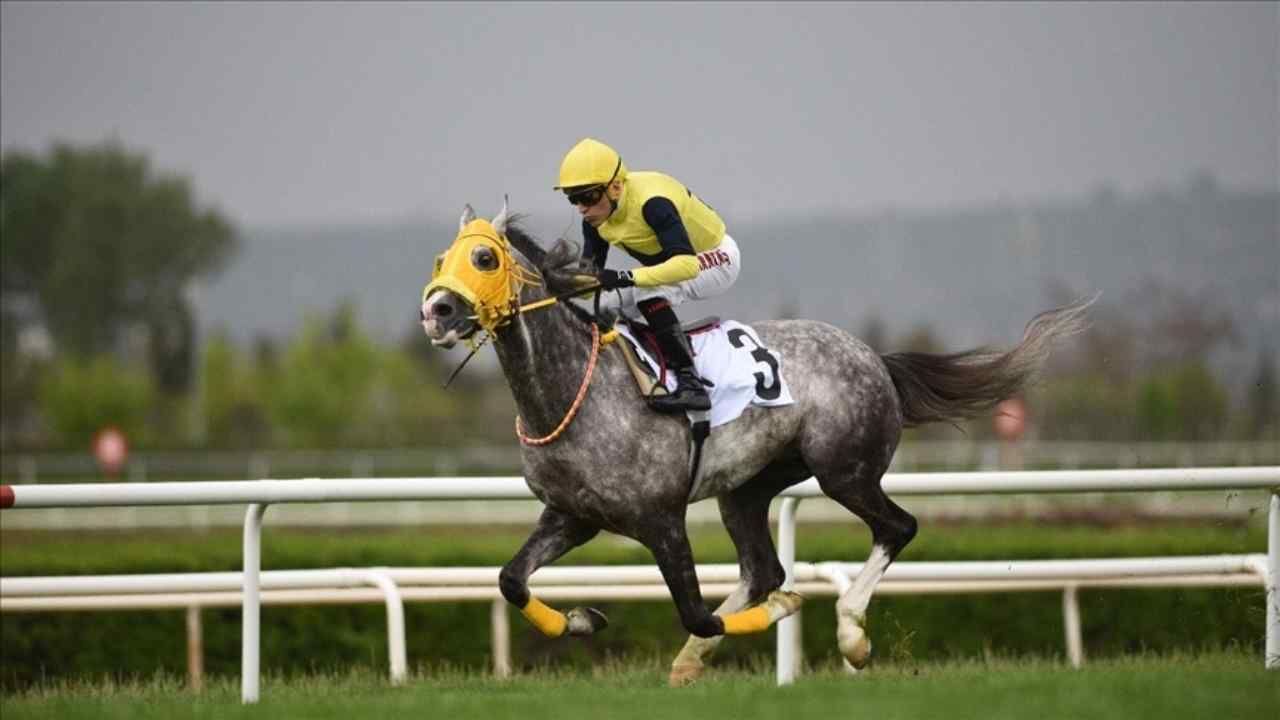Halis Karataş (1)