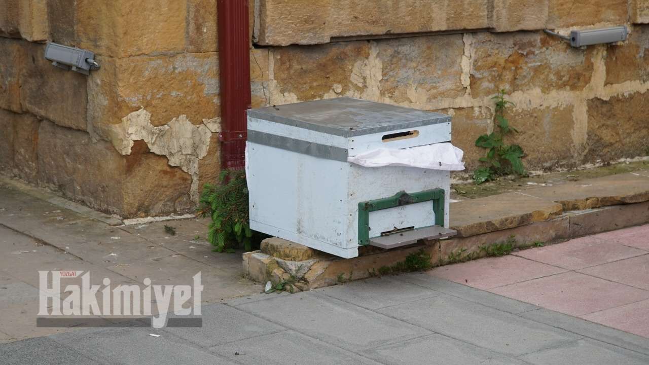 Kaçan Kraliçe Yozgat’ta Bulundu! (1)