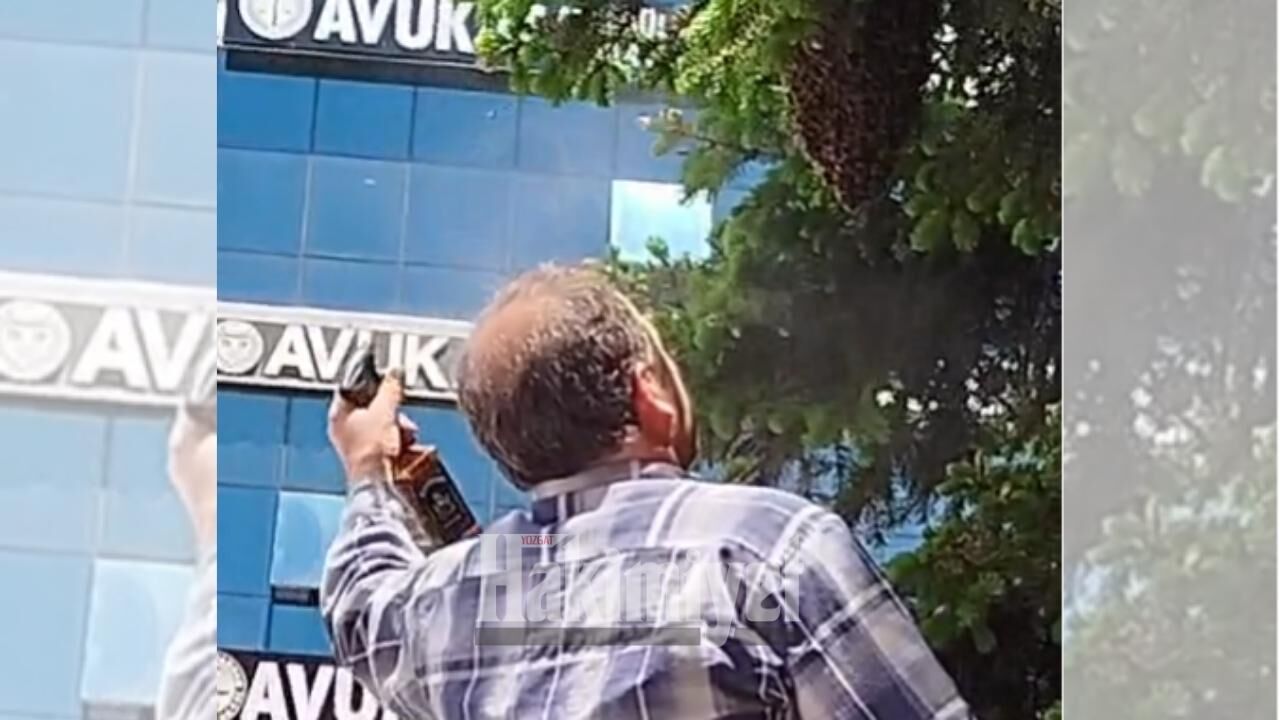 Kaçan Kraliçe Yozgat’ta Bulundu! (2)