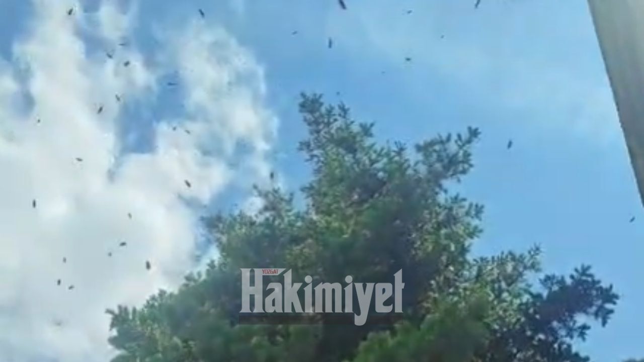Kaçan Kraliçe Yozgat’ta Bulundu! (3)