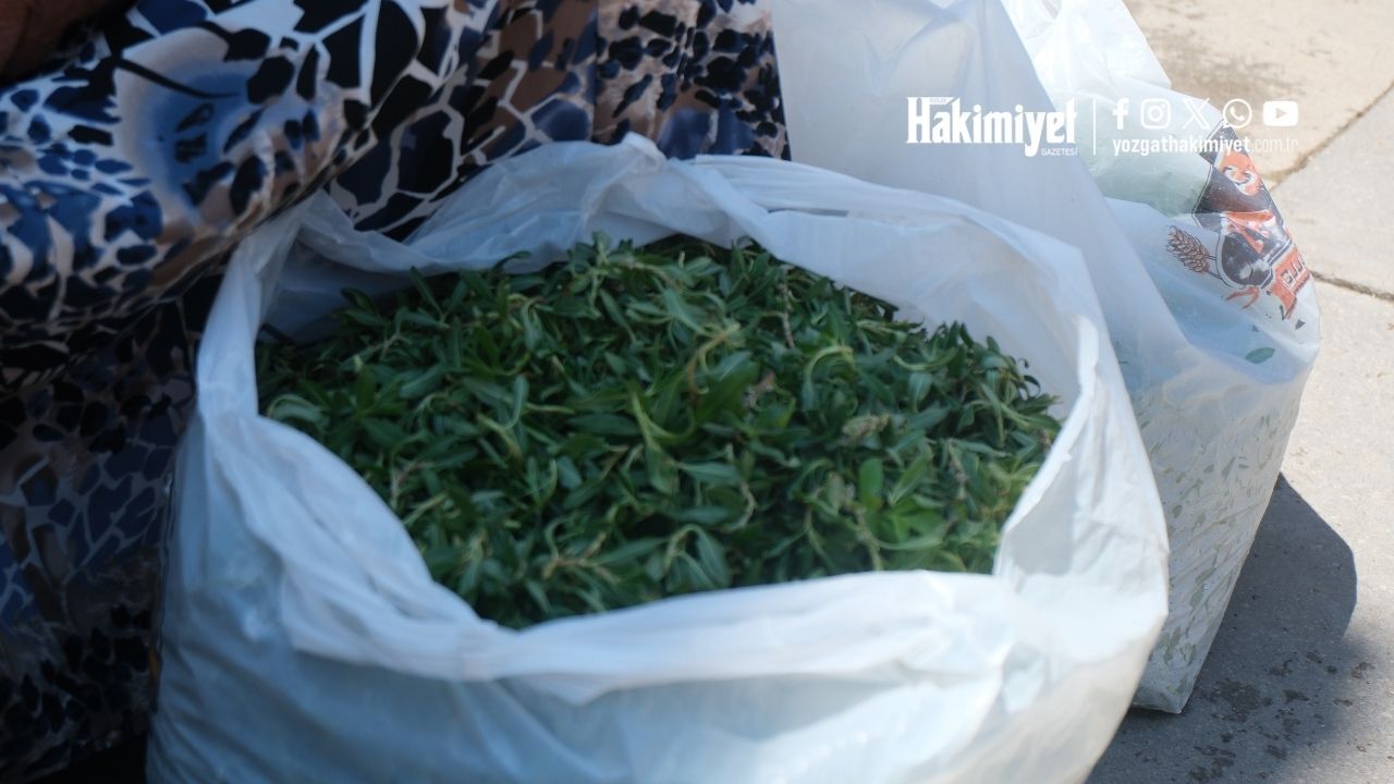 Kalp Hastası Kadın Yozgat’ta Hayat Mücadelesi Veriyor (5)