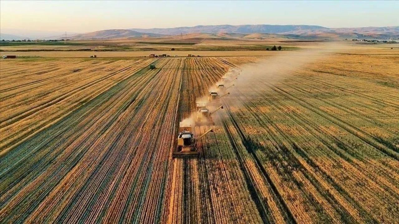 Kırsal Kalkınma Yatırımları 30 Haziran’a Uzatıldı Şube Müdürü Çetin’den Açıklama (1)