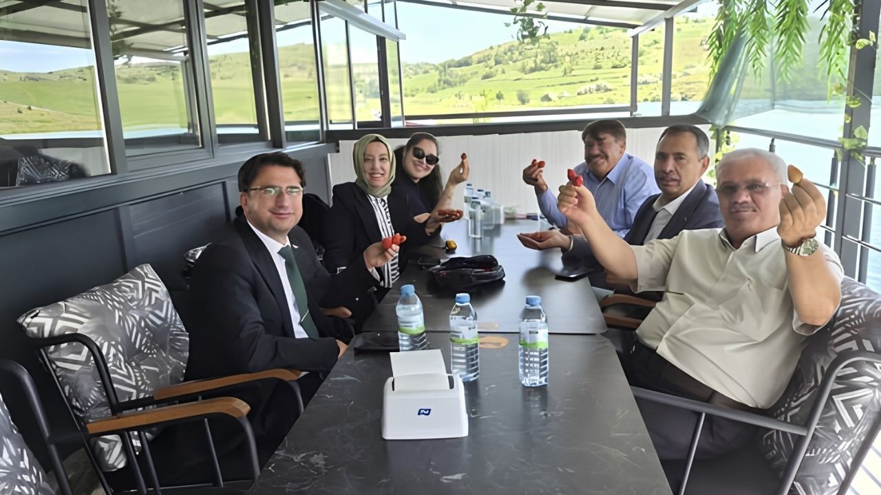 Saraykent'in Çilekleri Damak Çatlatıyor (1)