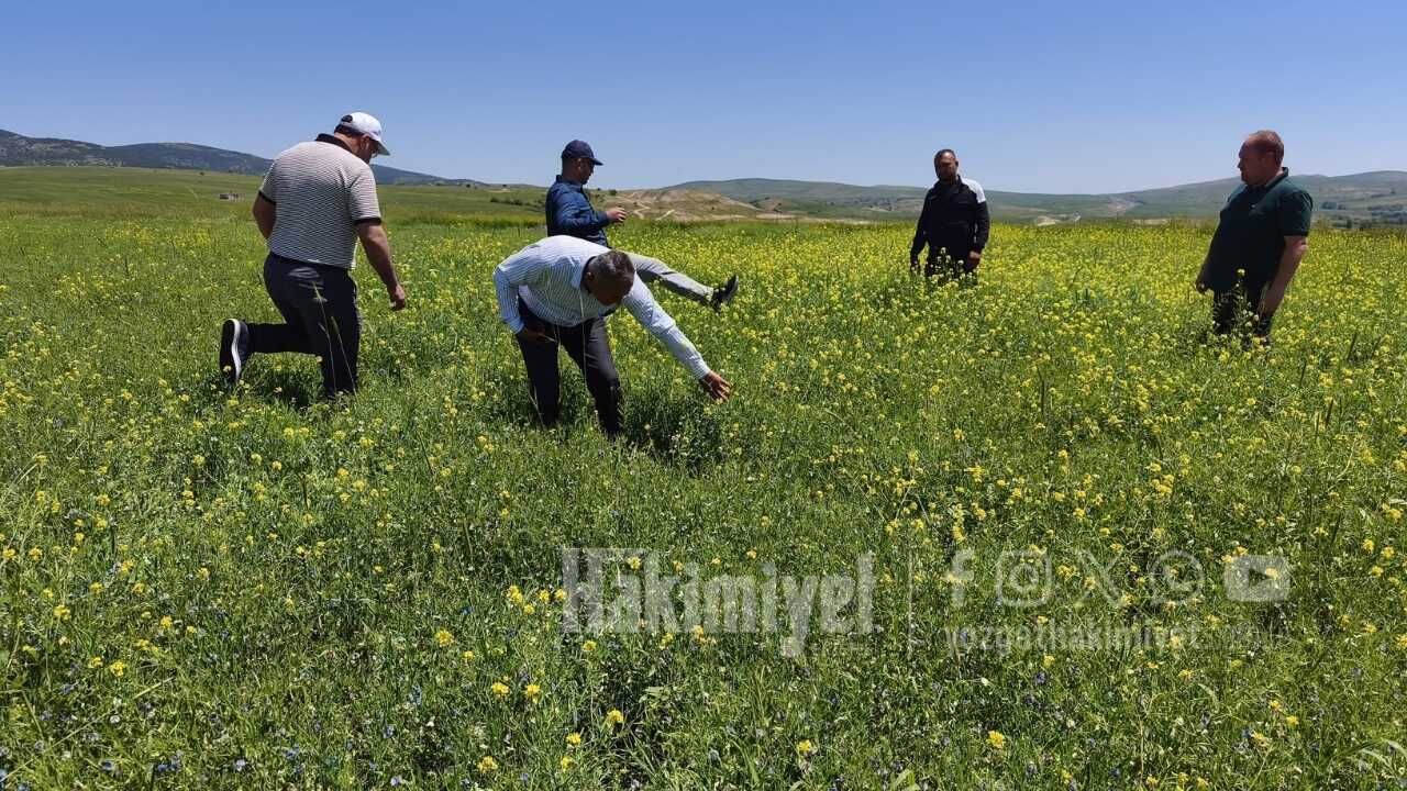 Yozgat Bozok Üniversitesi'nden Tarımda Devrim Yıllardır Beklenen Müjde Çiftçiye Tanıtıldı! (4)