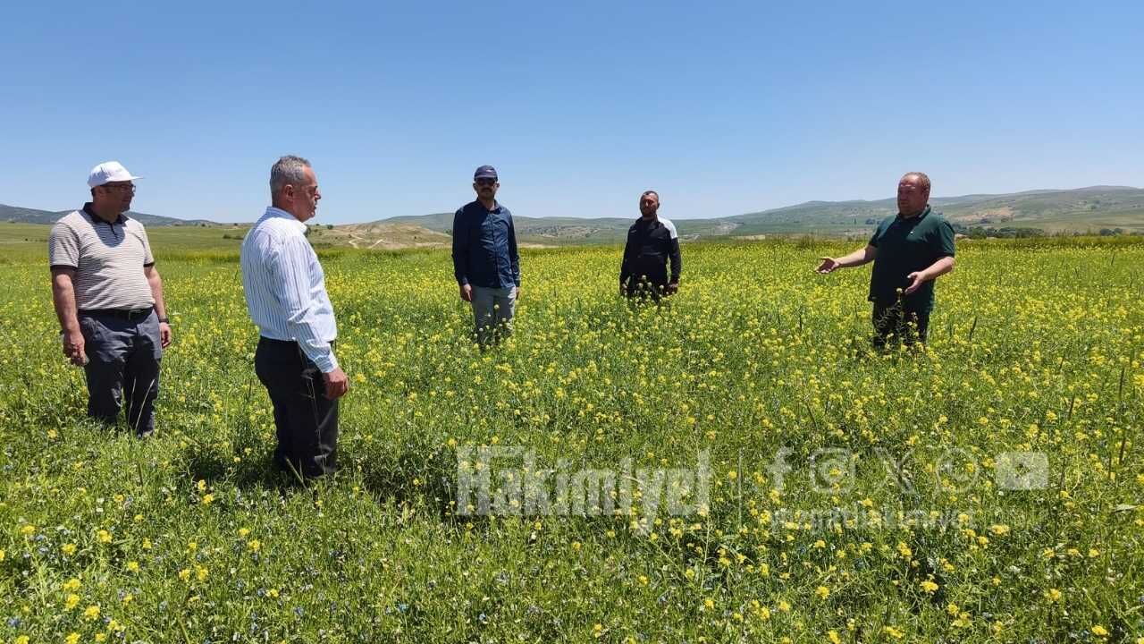Yozgat Bozok Üniversitesi'nden Tarımda Devrim Yıllardır Beklenen Müjde Çiftçiye Tanıtıldı! (5)